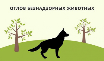 Уважаемые жители Перелюбского района!