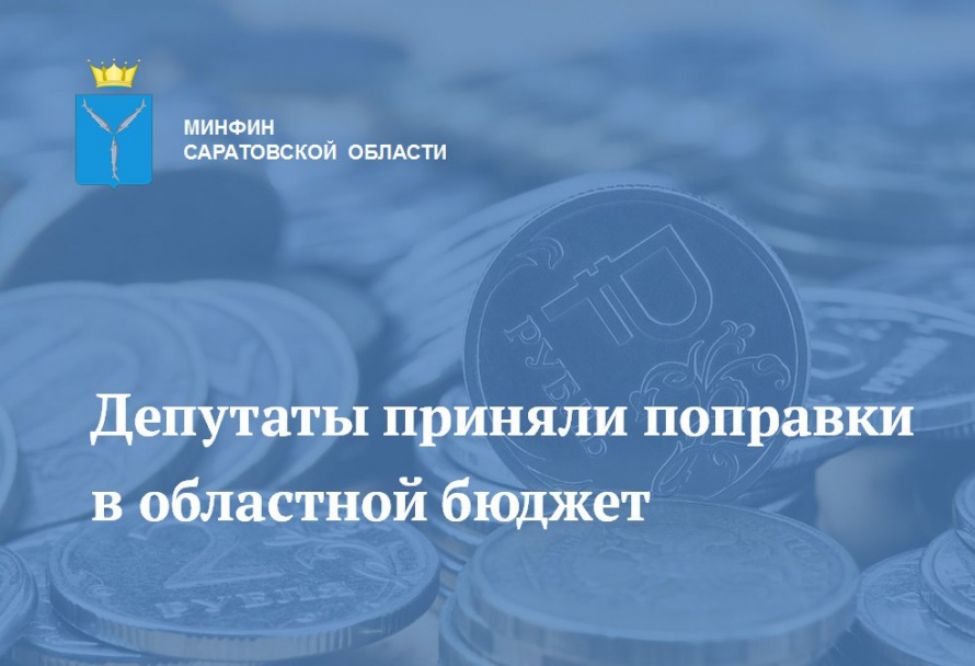 Депутаты приняли первые в этом году поправки в бюджет