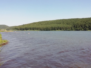 Купание в жару