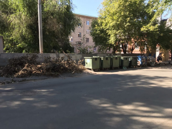 Регоператор напоминает управляющим организациям об ответственности за сброс опиленных деревьев на площадки ТКО