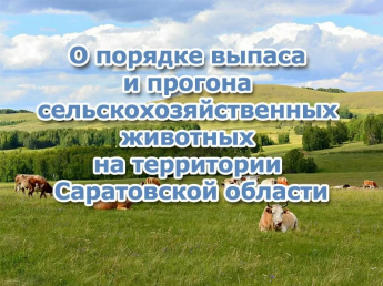 Памятка о порядке выпаса и прогона сельскохозяйственных животных